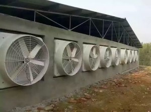 精东传媒最新地址安裝現場